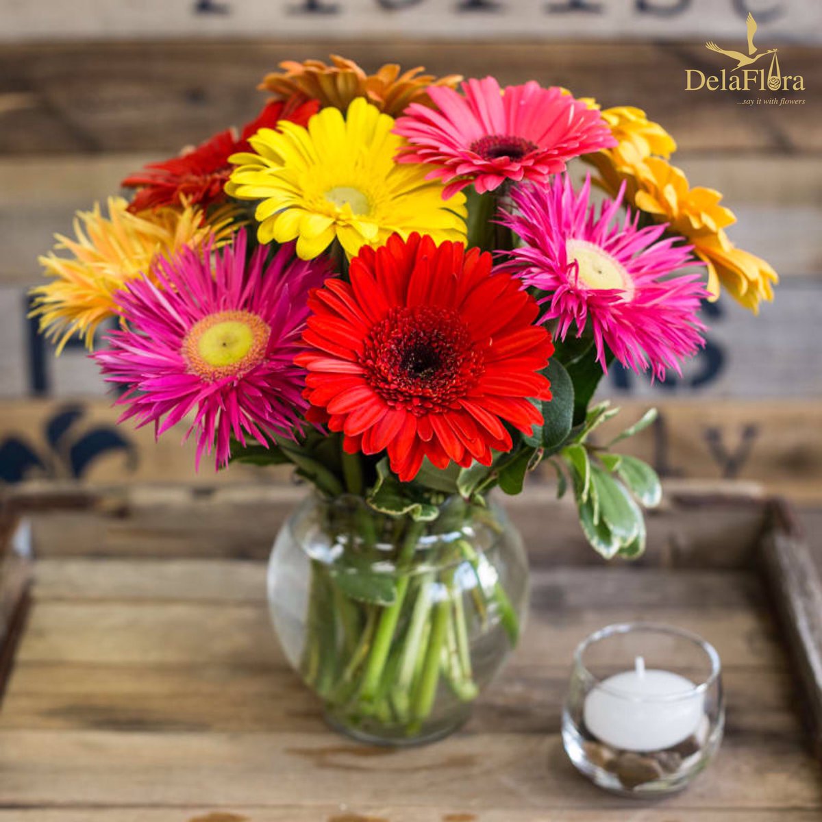 Delaflora1's tweet photo. Flowers 🌺💐 makes people smile😊
Get a bouquet of Gerbera Daisy Bowl flowers from @delaflora_gh 
________________________________________
Tag a floral lover🥰/Spread the word😉
#gerberadaisy #gerberas🌼 #flowers🌸 #thursdayvibes #delaflora #smile #SCMobileAtOne https://t.co/nKmRY5V4ZF