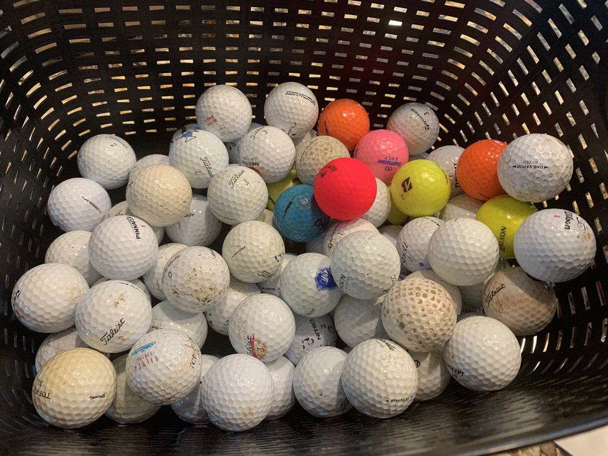 Started a collection from balls in my yard! #golfclubliving #lifeonagolfcourse #golferslosetheirballs