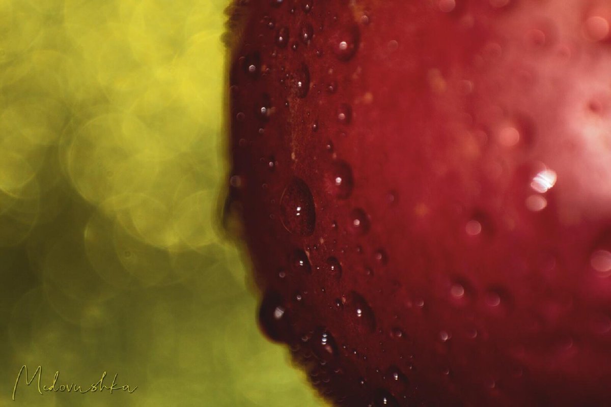 Medovushka131's tweet photo. Кусок яблочка)
#яблоко #капли #макросъемка #apple #drops_perfection #macro_shots #macro_love #macro #macro_royals #macro_brilliance #macro_perfection #macro_vision #macro_mania #macrophotography #macro_kings #Canon600d #bokeh
https://t.co/cetOSEISHx https://t.co/uKUFbp6H8S