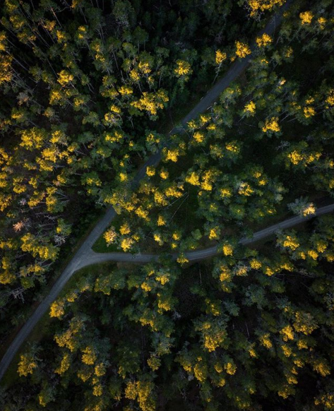 KalesnikoffTeam's tweet photo. A fun #forestfact for you, courtesy of COFI: Wood insulates 15x better than concrete and 400x better than steel. #TimberInspires #Kalesnikoff https://t.co/2rcoJ1jbvY