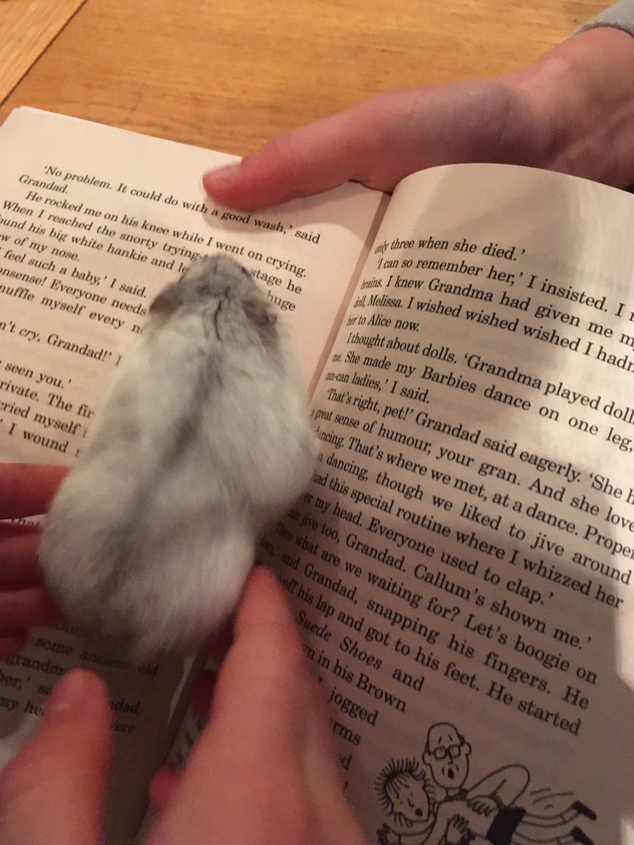 glover_abbie's tweet photo. #petscaughtreading https://t.co/k6ulo3feki