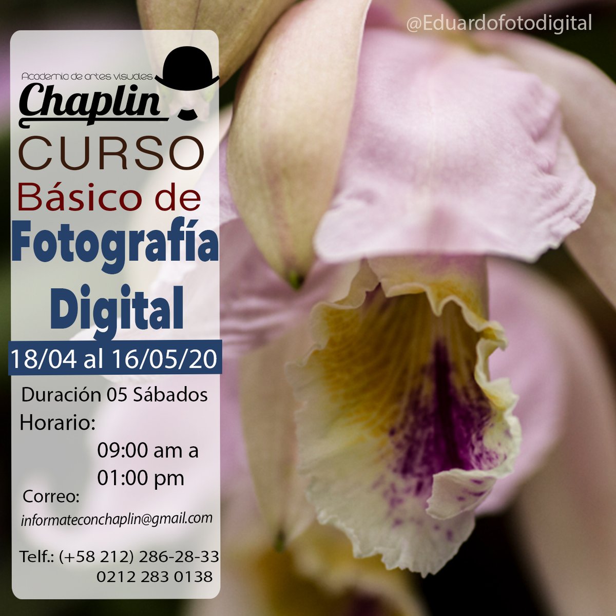 PhotoMakeupProV's tweet photo. Traemos para ti un curso basico de fotografia digitaL.

COMUNICATE: informateconchaplin@gmail.com o por vía telefónica (0212)2862833 o (0212)2830138.
.
.
.
#dulcephotomakeup #igerschaplin #gaelrock #miarock #academiachaplin #eduardofotodigital #misstattooofficial #reversusdigital https://t.co/HIKp0LZEyj