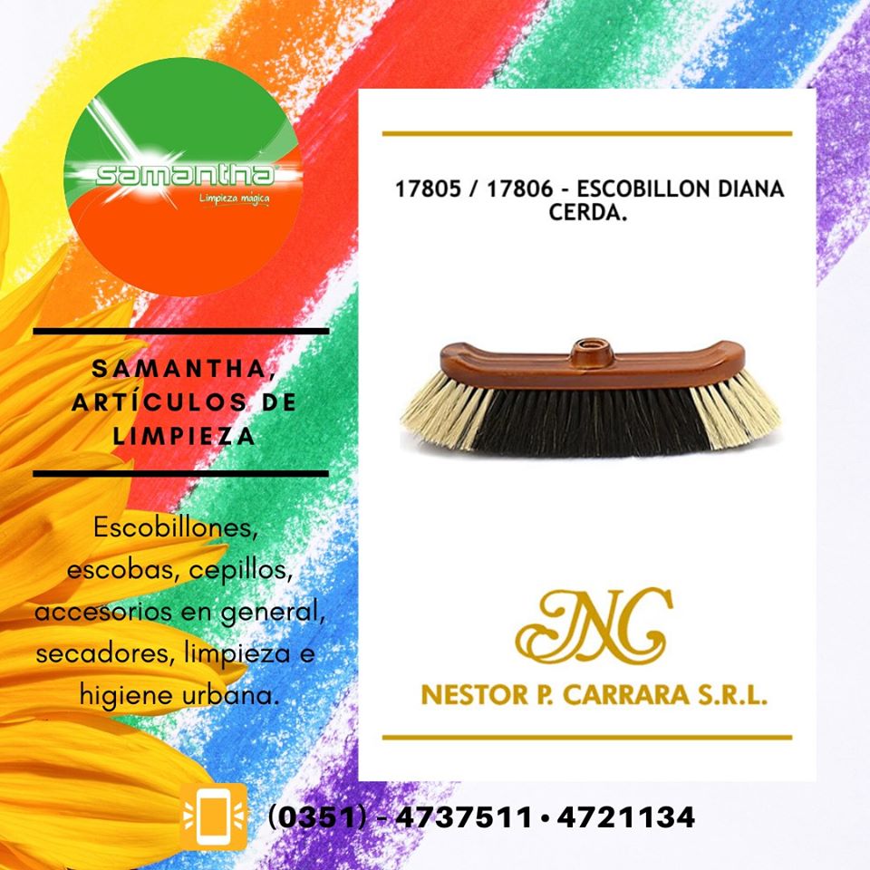 CarraraSRL's tweet photo. 🛒 #CarraraTieneDeTodo • Samantha es la línea de artículos de limpieza más completa, excelente precio / calidad en escobillones, escobas, cepillos, accesorios en general, secadores, limpieza e higiene urbana ✨

Pedidos y consultas 📲 https://t.co/ZtkdrGhefw https://t.co/mr87iQKVuJ