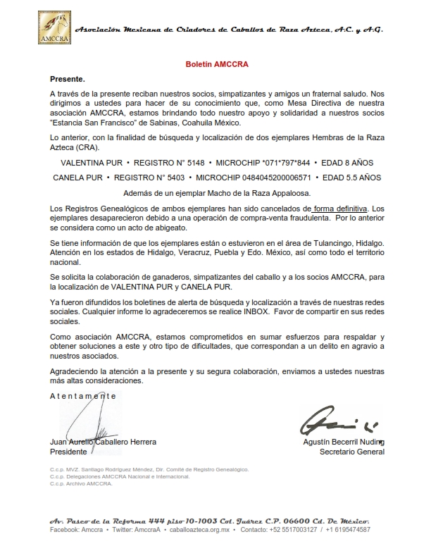 AmccraA's tweet photo. BOLETÍN AMCCRA.
BÚSQUEDA Y LOCALIZACIÓN.
A NUESTROS SOCIOS "AMCCRA", SIMPATIZANTES Y AMIGOS DEL CABALLO "CRA"
ATENCIÓN ÁREA HIDALGO, VERACRUZ, PUEBLA... Y RESTO DE LA REPÚBLICA MEXICANA. #caballoazteca #caballoderazaazteca #amccra #caballos #México #criadores #CRA #AMCCRA https://t.co/453aYr1g8H