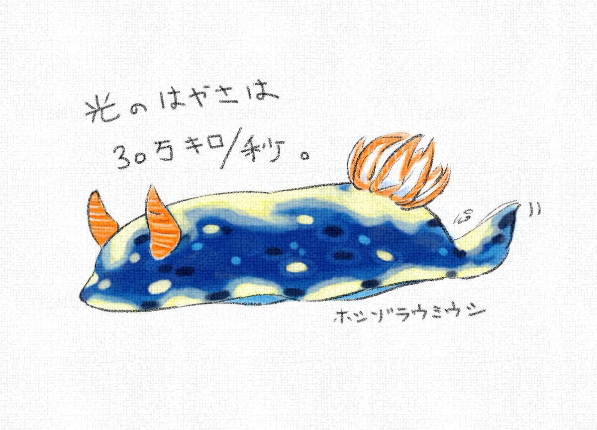 ンゴロンゴロ ウミウシがテキトーにつぶやくだけのイラスト