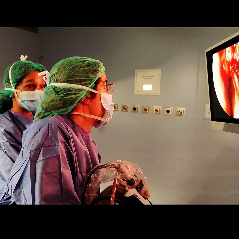 DrMarinoSanchez's tweet photo. La #docencia es la única profesión que crea las demás profesiones.
Es un placer tutorizar #residentes de #otorrinolaringologia y #rotantes externos en el #hospitalramonycajal para entrenarse en #cirugiaendoscopicanasal

#rinologiayolfato #microdebrider #rhinology https://t.co/W3G14Rh6nb