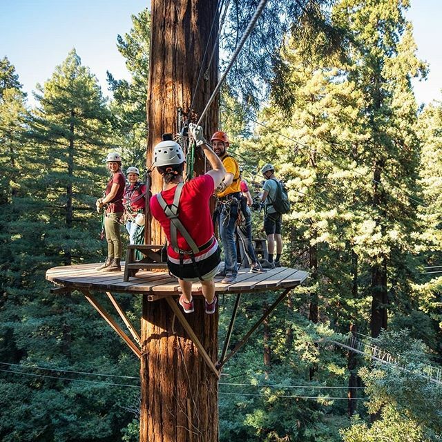 MH_Adventures's tweet photo. With the recent events surrounding the spread of coronavirus (COVID-19), we want to reassure you that Mount Hermon Adventures is open and remains committed to serving our guests. Your health and safety is our number one priority.

We are a small group to… https://t.co/rB36XHza81 https://t.co/BZm0wVxAxE