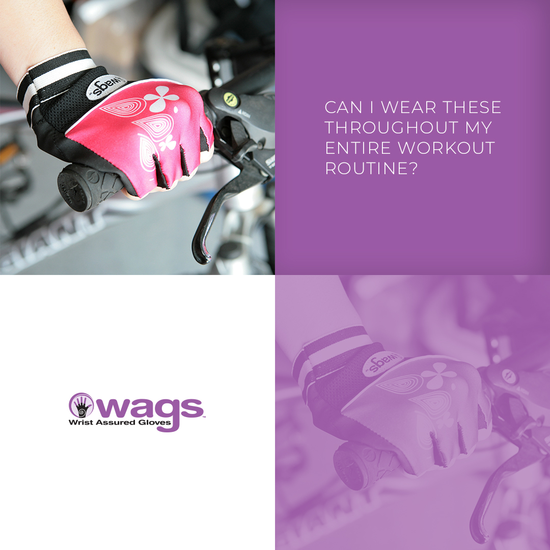 WAGsProduct's tweet photo. Of course! Our Flex &amp;  Fusion Gloves have a shorter pad that allows for more direct palm contact to grasp equipment and bike handlebars. https://t.co/EvByP046XI