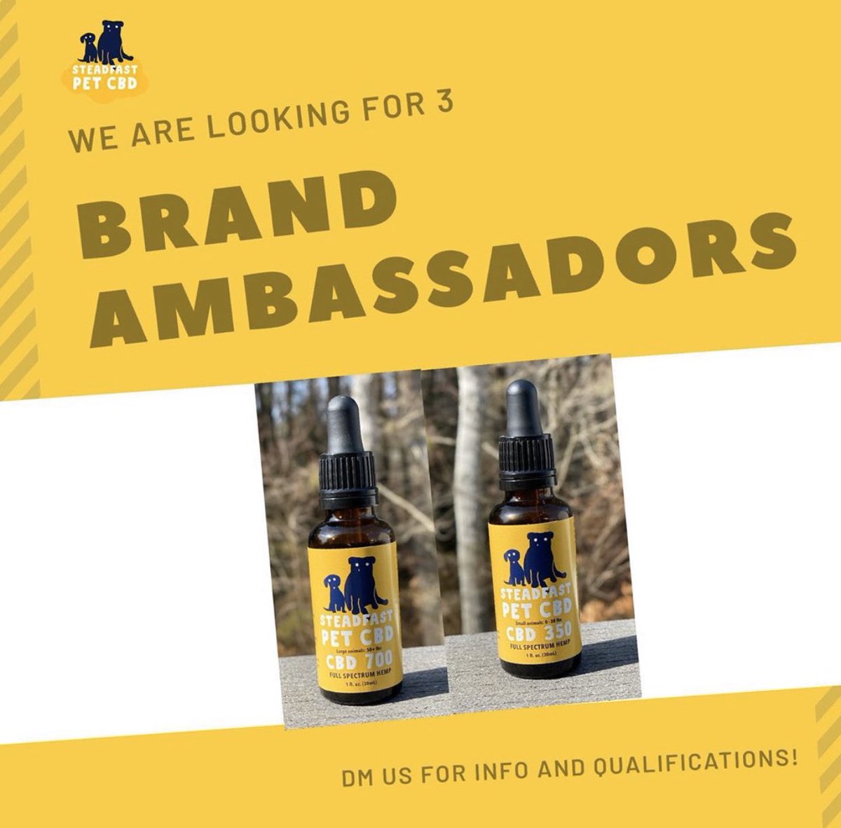 steadfastpetcbd's tweet photo. We’re excited to announce we are looking for three pet ambassadors! DM us on Twitter, Facebook, or Instagram @steadfastpetcbd if this is you! #CBD #pets #dogsoftwitter #CatsOfTwitter #cats #BrandAmbassador #petambassador #Deals #Sales #cbdoil #petcbd #natural #naturalhealing https://t.co/kbmnNdZ2yd