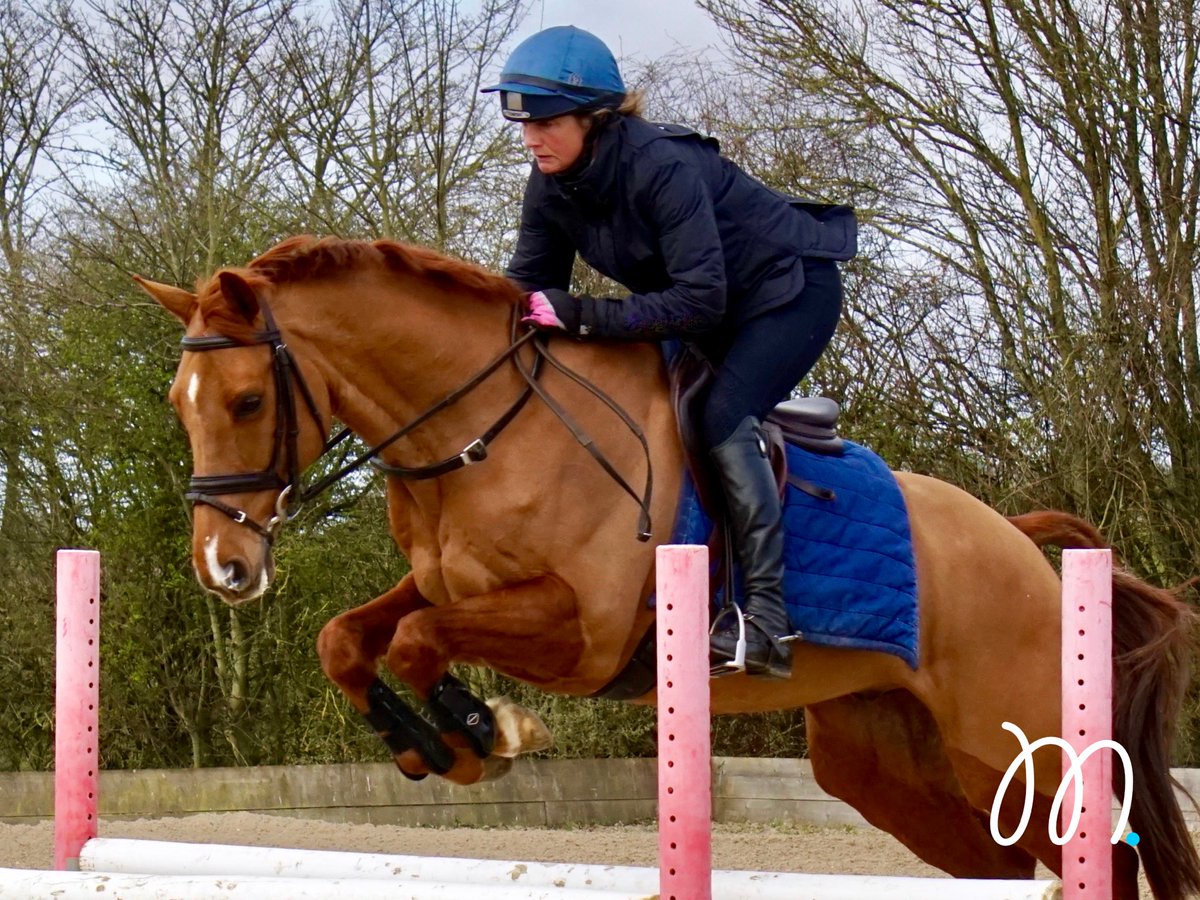 Marchwood.🤩🚀👌