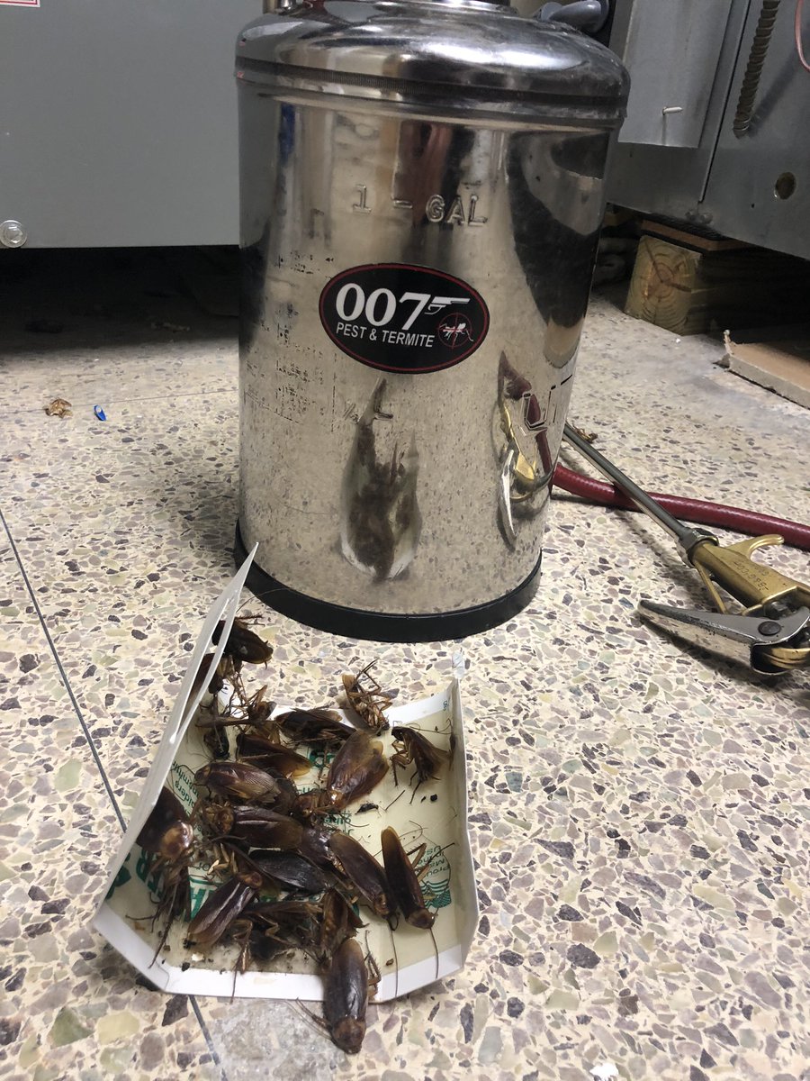 007bugman's tweet image. Oh yeah!