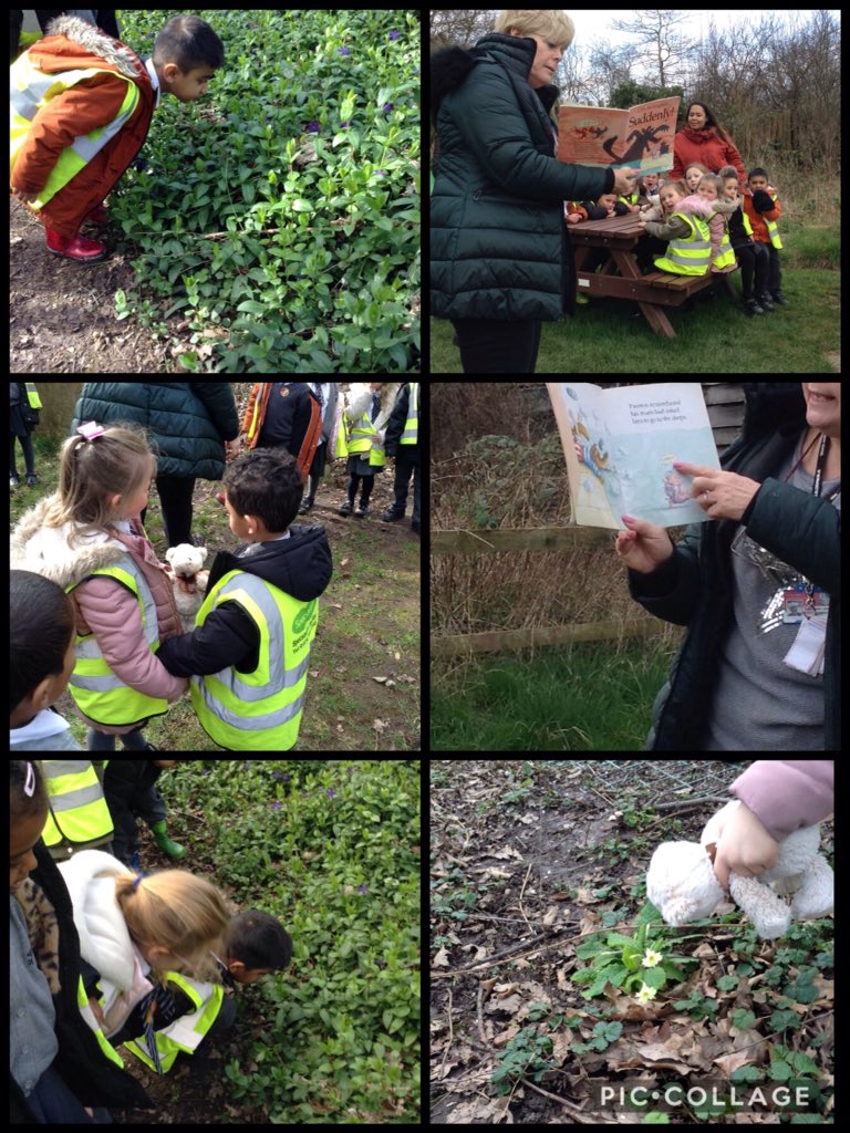 StBernsPrimary's tweet photo. #BernardBear had a lovely afternoon at the EcoPark #RPF #Spring #Primrose #RingGames #StoryOfTheMonth #Suddenly! https://t.co/gcevVfBNp6