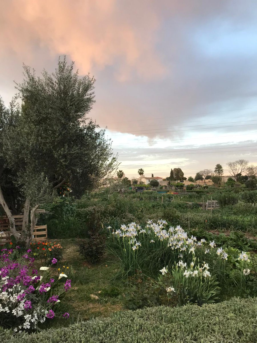 RECESevilla's tweet photo. Encuentro con la ciudad sostenible. Visita de estudio al Parque de #Miraflores para conocer el huerto urbano de #Sevilla que asombra al mundo. @HuertoUrbSev #EncuentroRECE https://t.co/hphwBMUXAn