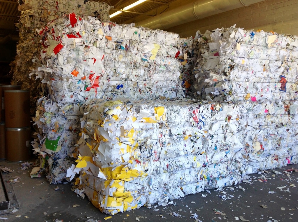 Recycle One tweet media