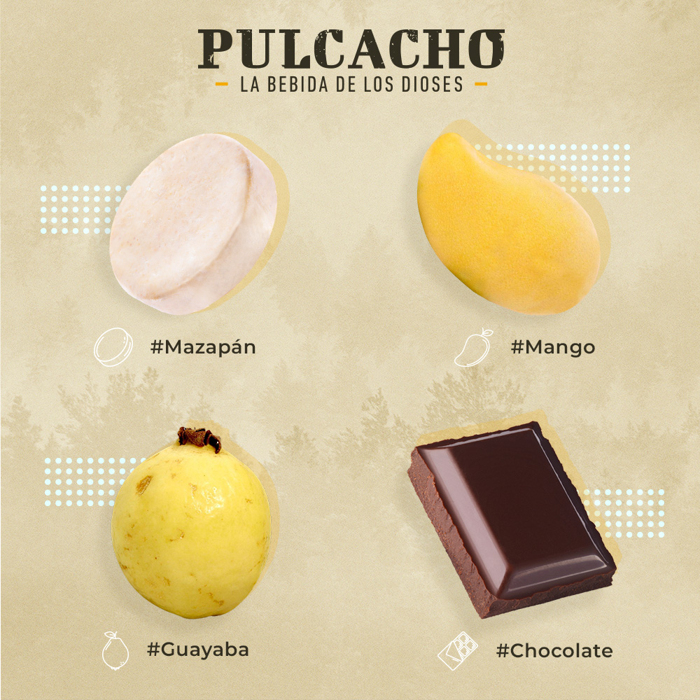 pulcachomx's tweet photo. https://t.co/wovfbCQ8hg