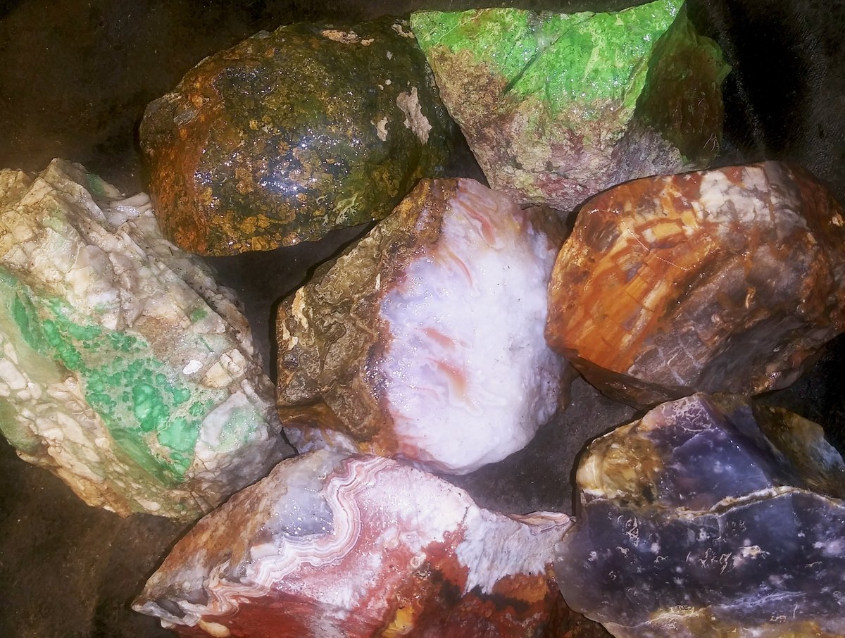 RiverbendLap's tweet photo. Live Rough Show Today at 3 pm central time!
Got some nice big chunks of lace today plus..
https://t.co/KUHMWMLnIg
#CalicoLaceAgate #SanCarlosAgate #PurplePassionAgate #Variscite #ImperialJasper #Bloodstone #Heliotrope #FancyJasper #PurpleChalcedony #Gaspeite #BirdOfParadiseAgate https://t.co/9IoQWFVq3z