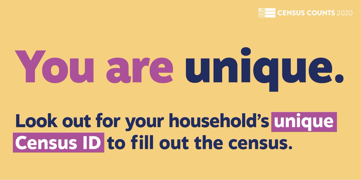 Graphic reads "You are unique. Look out for your household's unique Census ID to fill out the census."