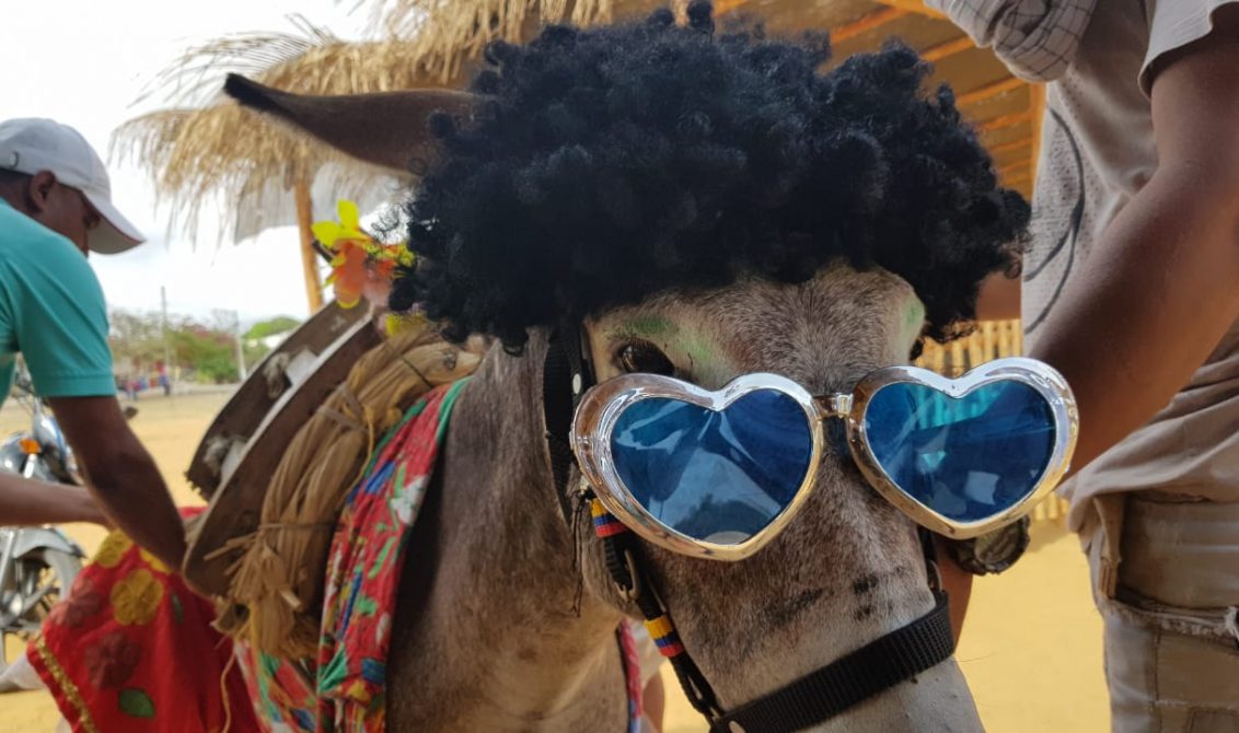DPalomino10's tweet photo. Fiestas populares de Córdoba, afectadas por #CoronavirusEnColombia. Suspendido el #Festiburro 33 en San Antero hasta nueva orden. También las corralejas de Cotorra, Festival de la Panocha en Moñitos y el paseo religioso de Semana Santa en Ciénaga de Oro. https://t.co/hs8wXGMVOT