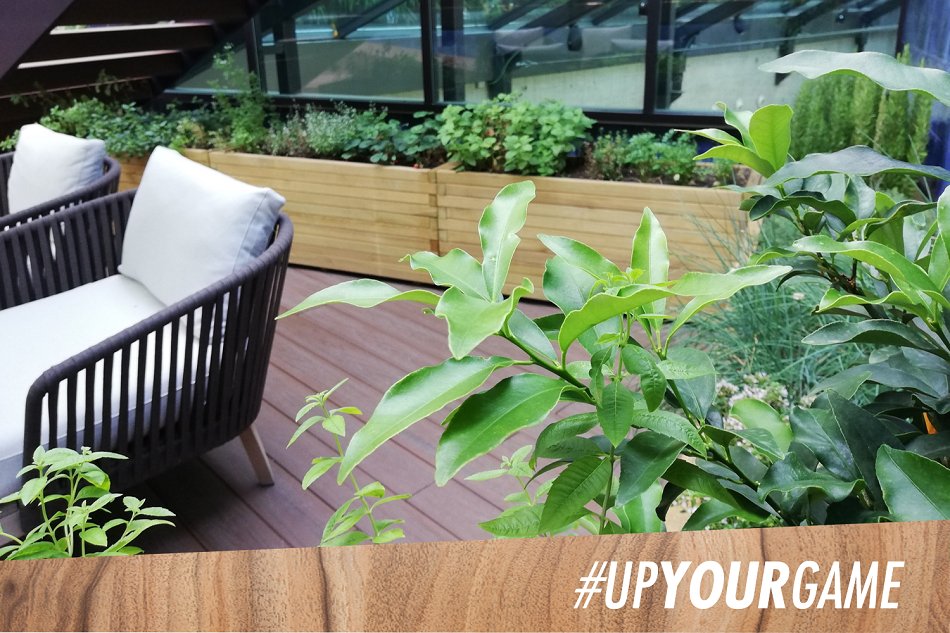Tenemos nuestro propio jardín con hierbas aromáticas. #Planet21 por una hotelería sostenible. 
Our own kitchen garden with aromatic herbs. 
Planet21 for a sustainable business model.
#UpYourGame #PullmanHotels #PullmanBarcelonaSkipper