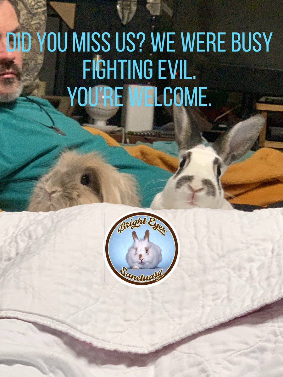 BrightEyesAlive's tweet photo. #TBT
OneYearAgo…
#lionhead #RabbitRescue #ShelterSurvivor #BeatrixJolene #EddietheYeti Still fighting! https://t.co/4Ti60Ewzng