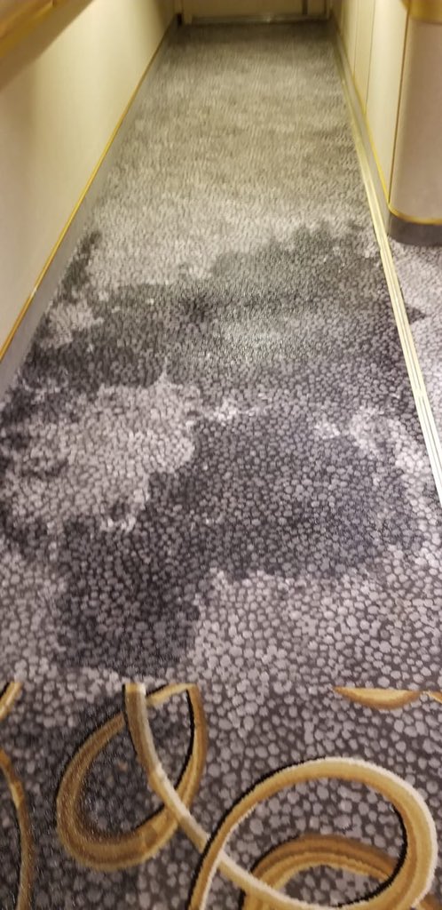 rockinclaws's tweet photo. Passengers that are still in the #grandprincess are experiencing overflow of toilets and still don’t have meds. Where is our federal government? @Cal_OES @cdcgov
@phegov
@hhsgov
#grandfailure https://t.co/ZHZJBedrzj