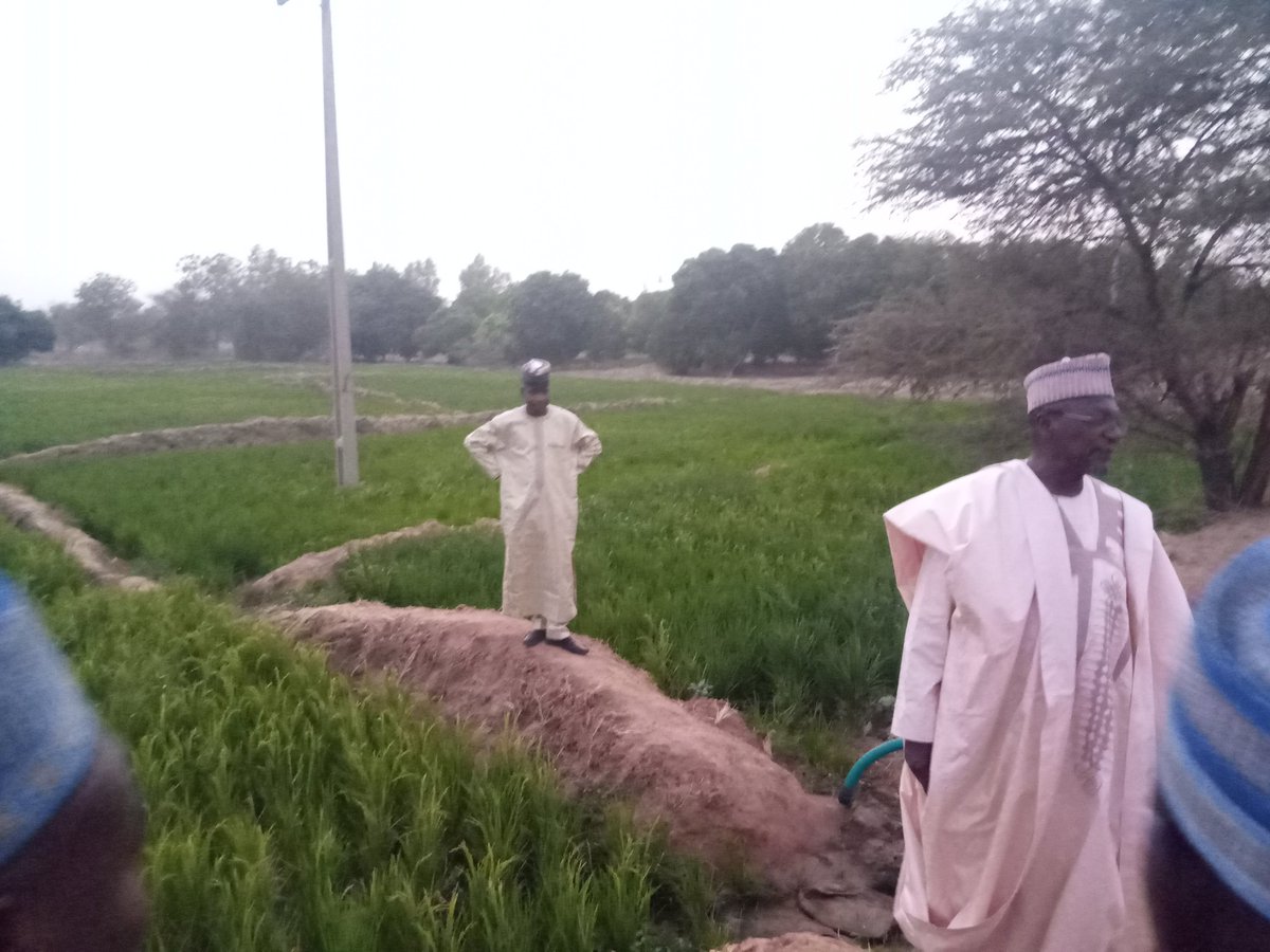 This evening,I paid an unscheduled visit to my farm in my home town—shortly after the International Argungu Agricultural Show.

I believes that Agriculture—either in its subsistence or commercial form remains the only sustainable way for food sufficiency while growing our economy