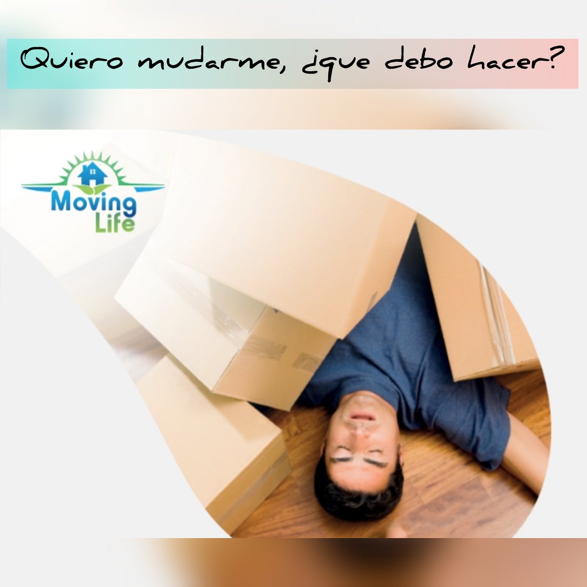 MovingLifeVe tweet picture