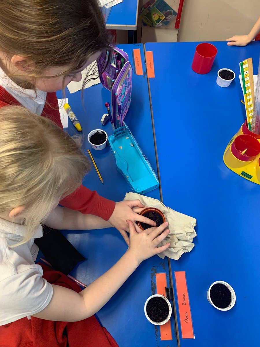 Edenside Primary School & Nursery (@edensideps) on Twitter photo P4 danced their way to a deeper understanding of the water cycle today and also observed changes in their planted seeds (with the distinctive smell of germination in the air)! <a href="/EdScotSciences/">ES Sciences Team</a> #ScienceWeek2020 #EdensideLovesScience P4 danced their way to a deeper understanding of the water cycle today and also observed changes in their planted seeds (with the distinctive smell of germination in the air)! <a href="/EdScotSciences/">ES Sciences Team</a> #ScienceWeek2020 #EdensideLovesScience