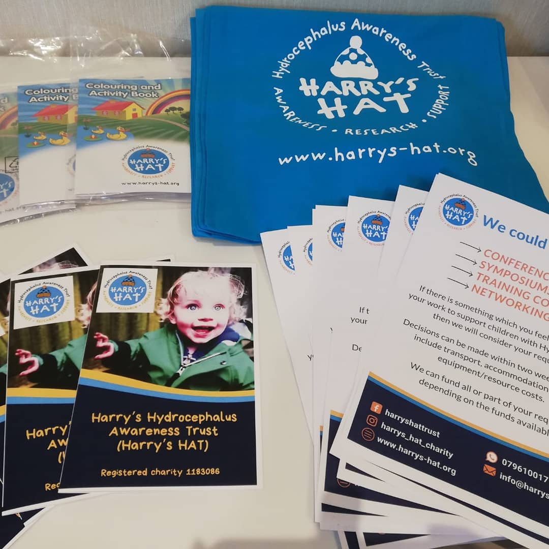 HarrysHAT5's tweet photo. Our team presented Harry's HAT to the nurses meeting at the British Paediatric Neurological Group today. They highlighted that we can give #grants to support nurses (and front-line workers) to undertake training to further their knowledge of childhood #hydrocephalus. https://t.co/WCILVAjVx2