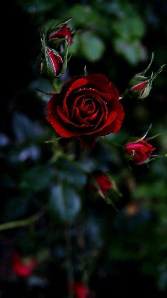NikoLas_112's tweet photo. https://t.co/6hLe1iMv0M