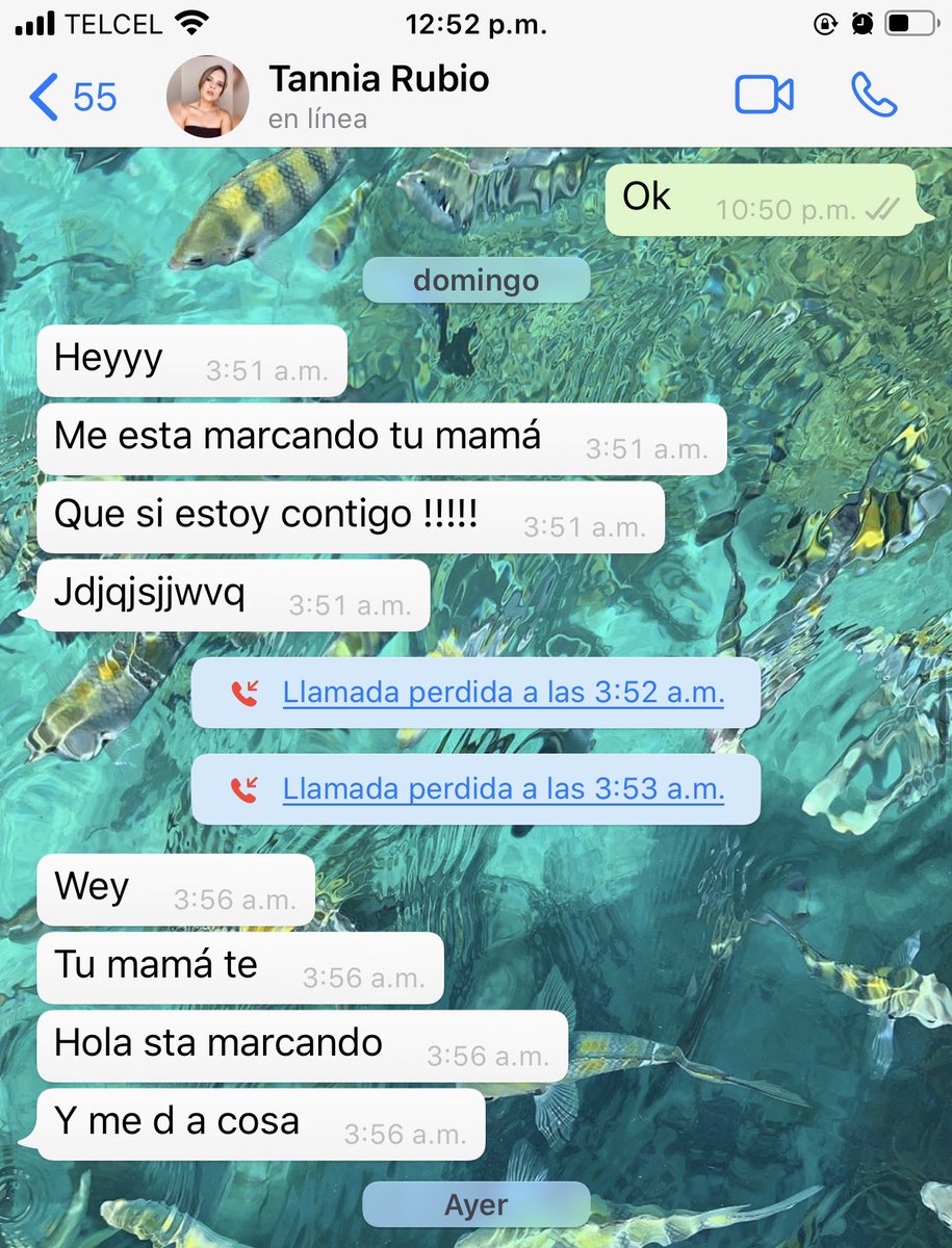 jereimy's tweet photo. Y como estuvo tu fin?🥵🥵🥵🥵 https://t.co/l8kJXAZv3T