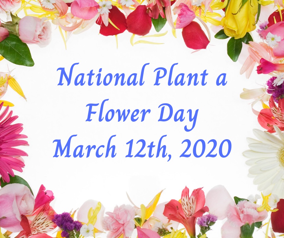 ClassicPoolSpa's tweet image. March 12th is National Plant a Flower Day! It looks like it will be a perfect day to get out and do some planting.

#1inbackyardfunsince1979
#classicpoolandspa
#nationalplantflowerday