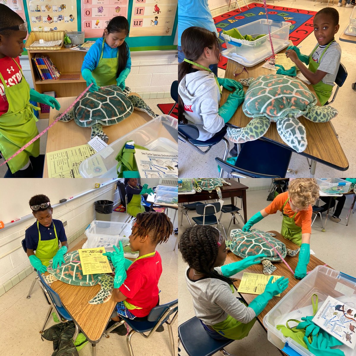 jessica_collins's tweet photo. My 3rd grade scientists had a fantastic time learning about marine debris and the effects on sea turtles! Thank you @MarineQuestUNCW ! #studio112 #soaringeagles #NHCSchat https://t.co/5UW6wGRF7K