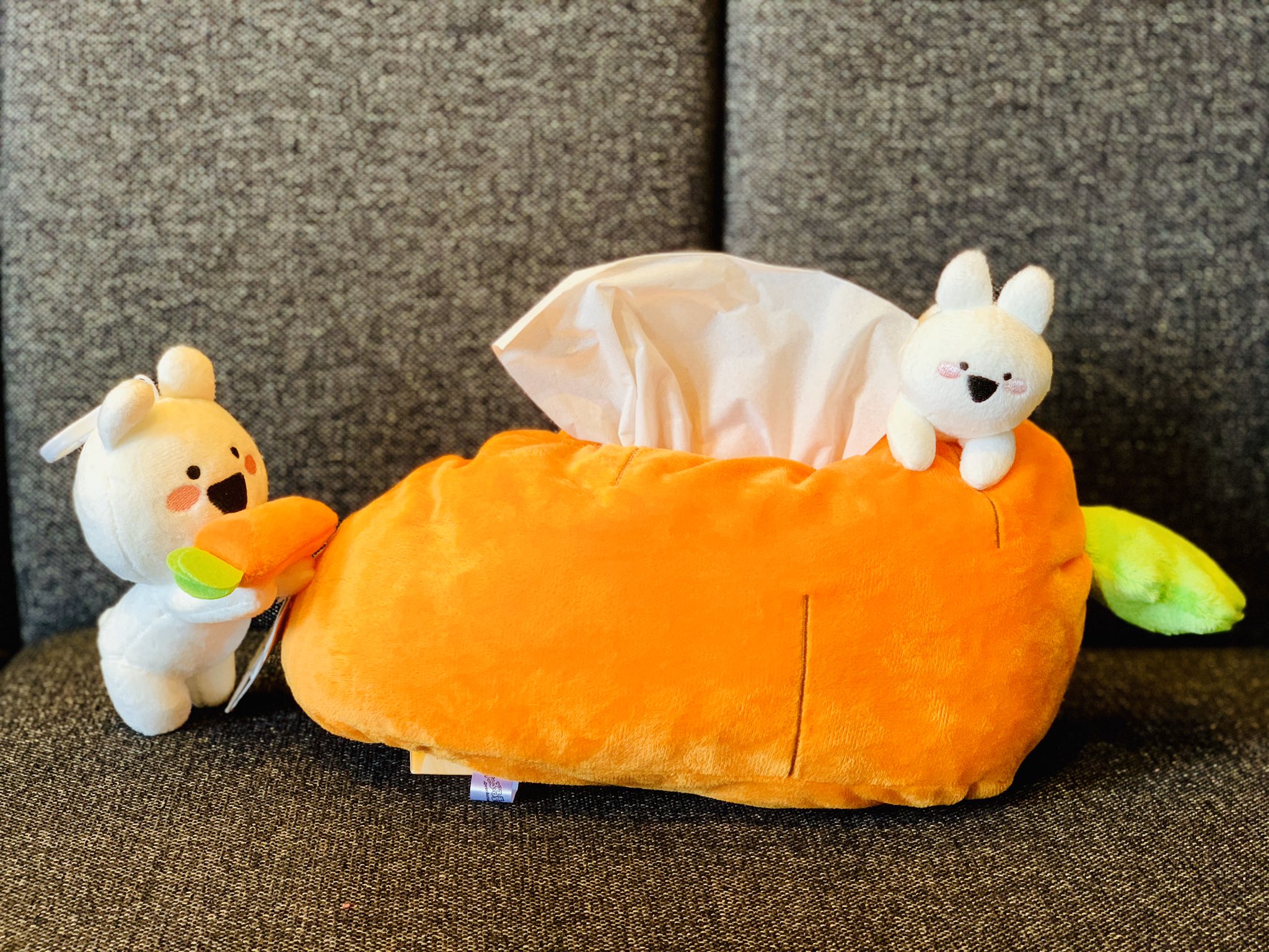 ট ইট র すこぶる動くウサギ 公式 Ahytnrdql4loboh 良かったぁあ このにんじんのティッシュケースすこウサもお気に入りだから 喜んでもらえて嬉しい T Co W5kuv5mzcv ট ইট র