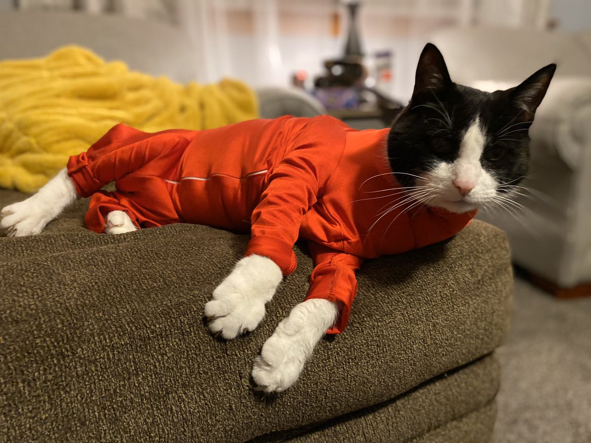 cozi2005's tweet photo. Myles Davis officially wants out of his modeling contract!! https://t.co/jqnyTl6xmL