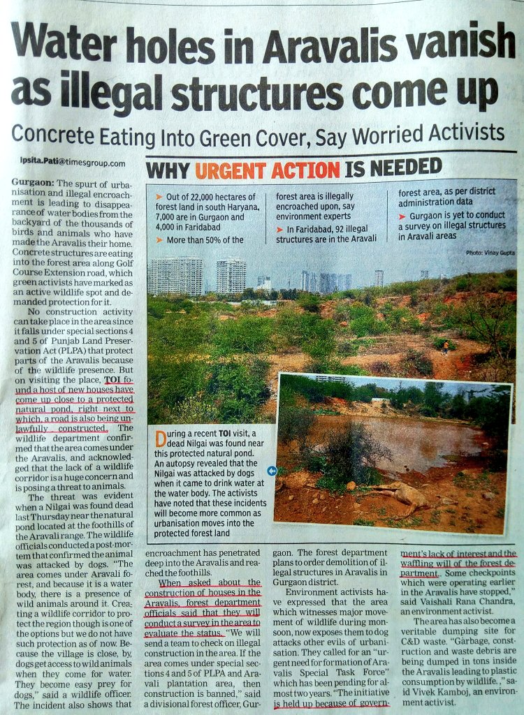 Ravi08410222's tweet photo. #AbwFraud
Wat #kind f #Sanskari #netas r in #Haryana whose #sanskar/#conscious/#honesty let them #kill& #deprive #habitat 2 #animals/#birds(#god's #gift)
By not #taking #action-intention is2gv excus that #ground #reality hs #changed 4 #PLPA #amendment 2 #destroy #Aravali #forests https://t.co/CRAqieZh1A