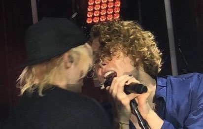 horse with hat tweet media