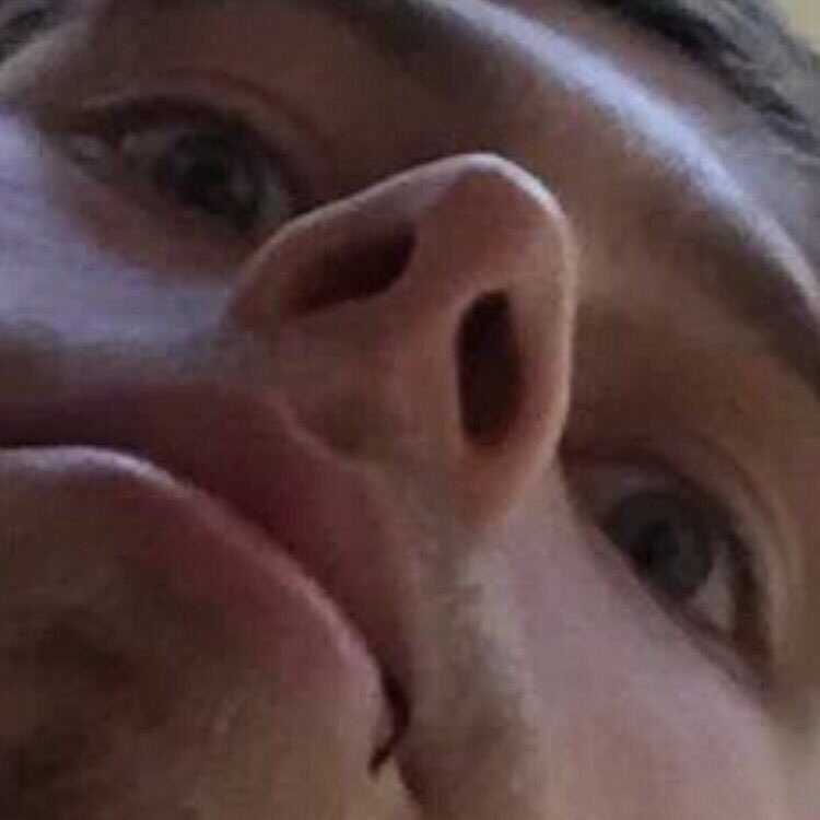 horse with hat tweet media