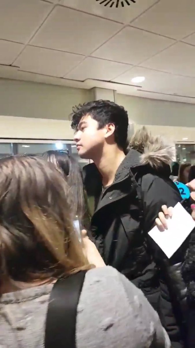 horse with hat tweet media