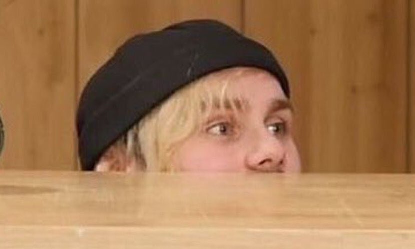 horse with hat tweet media