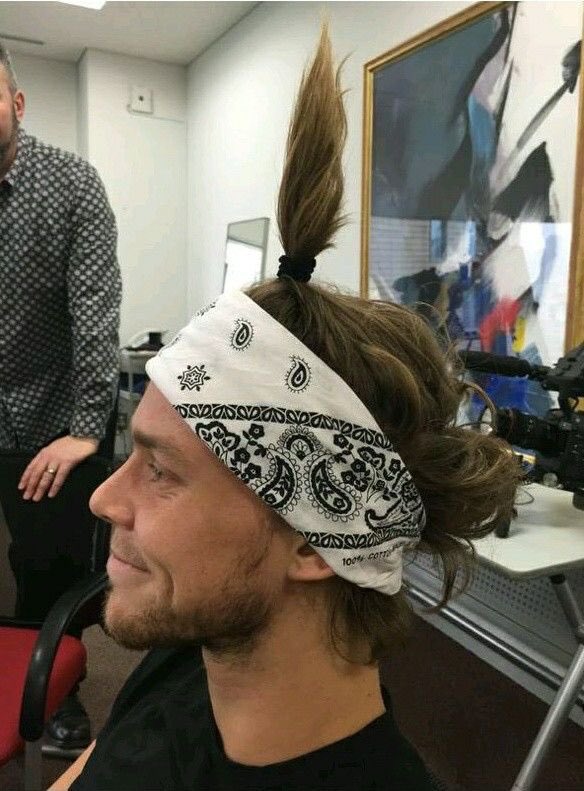 horse with hat tweet media