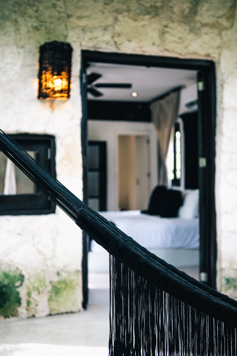 NEST Tulum tweet media