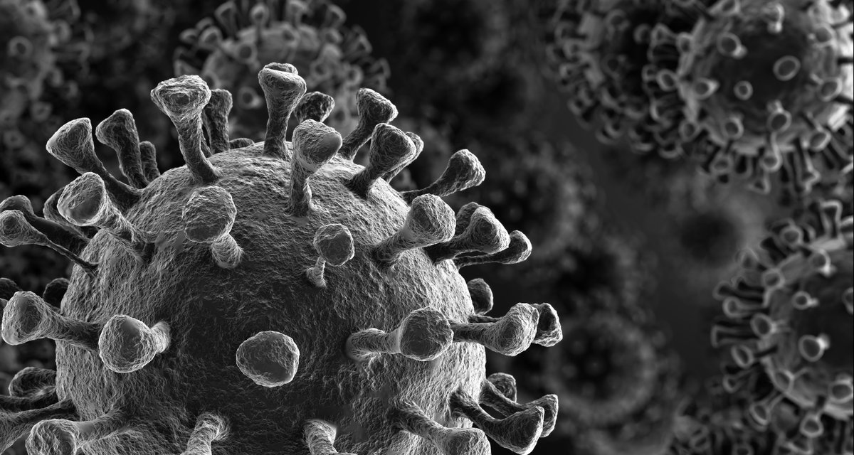The recent &amp; ongoing outbreaks of the #coronavirus disease are impacting food &amp; agribusiness sectors in various ways. This #RaboResearch page aims to provide updated sector &amp; region-based analysis by our global team of F&amp;A analysts. research.rabobank.com/far/en/sectors…