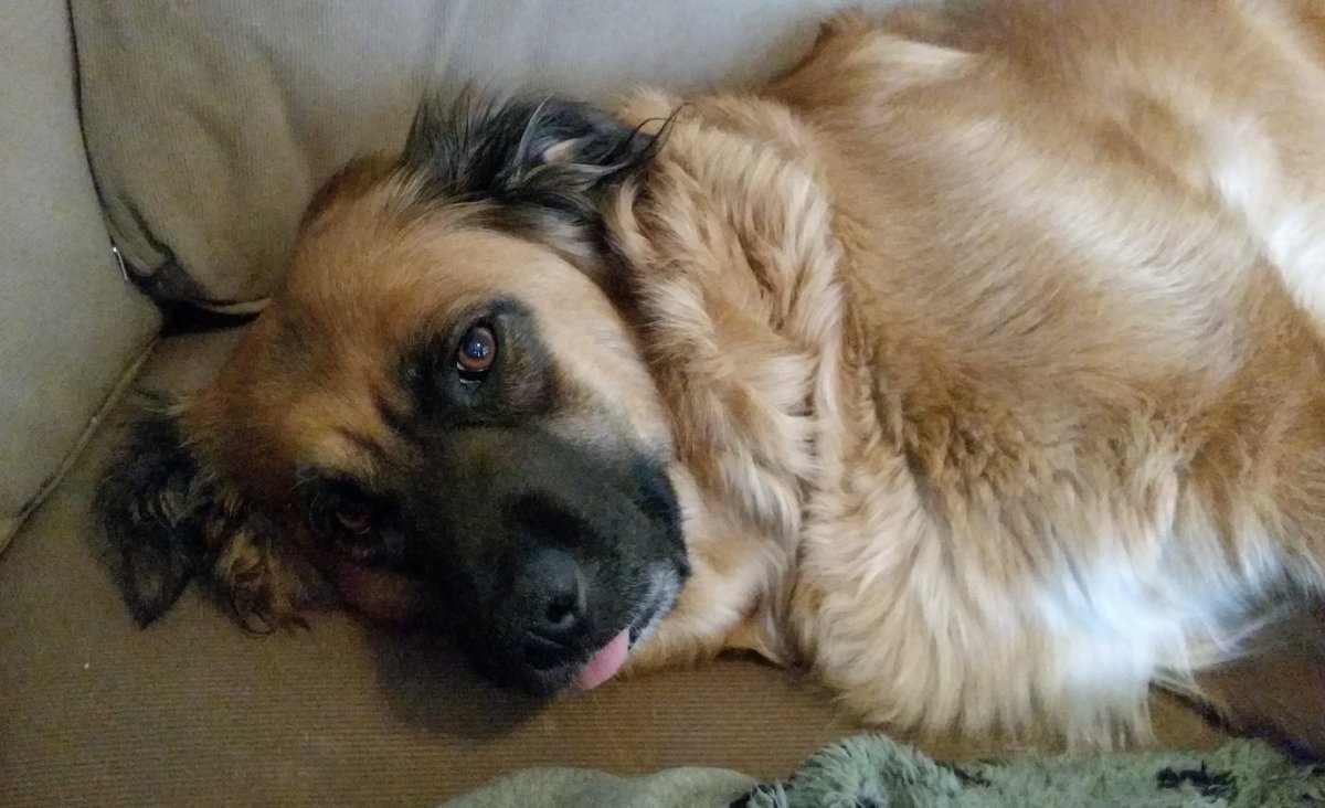 FreshLookonLife's tweet photo. This is love. #cutestgirl #rasperry https://t.co/mB9k2F8Eel