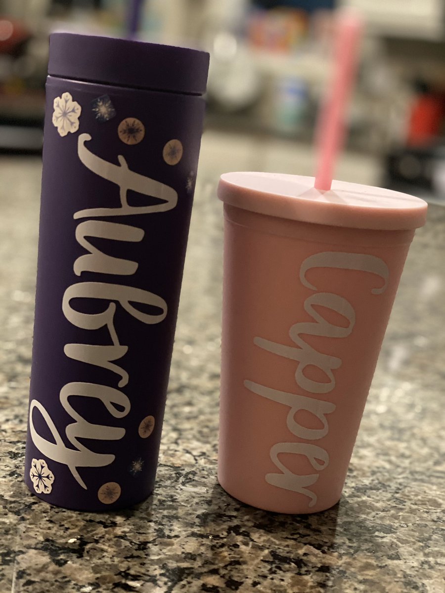 KelleyRCapper's tweet photo. Received mine and Aubrey’s new tumblers today from the @smwtheship! Thank you, We love them!  #WestisBest @SMWestOffice @smwestdeca @theSMSD https://t.co/49JV8yFFFx