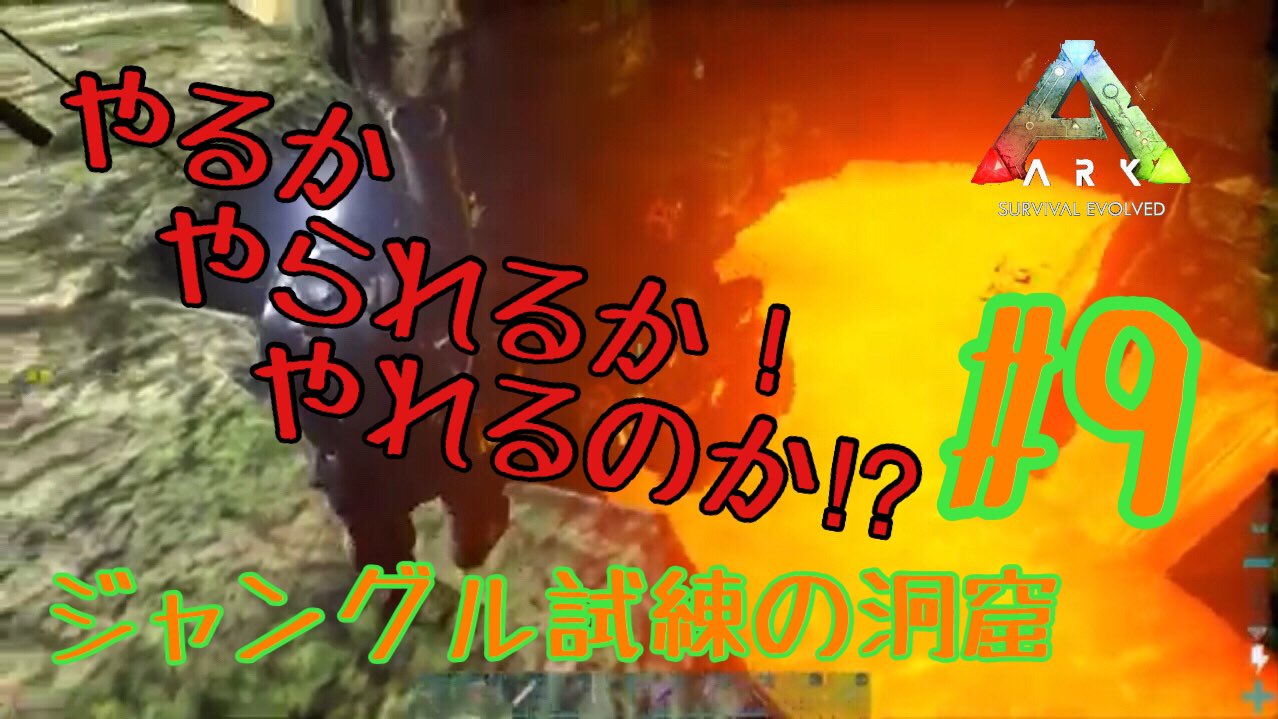 ジャングルの洞窟 Twitter Search Twitter