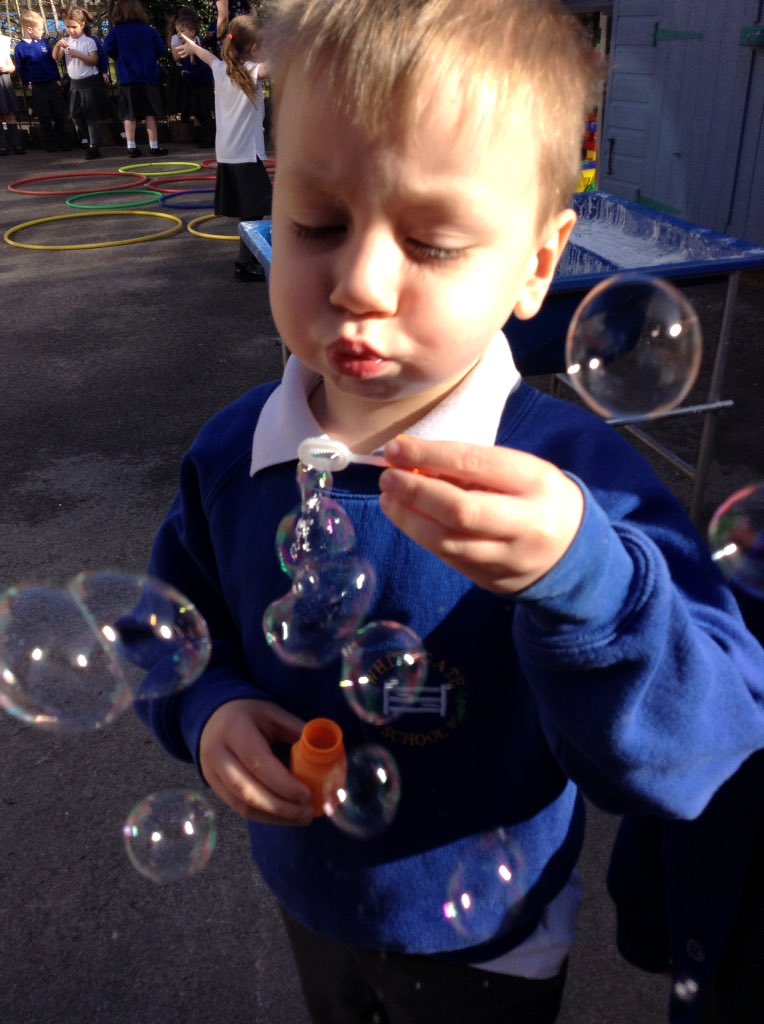 WhitegateAcorns tweet media