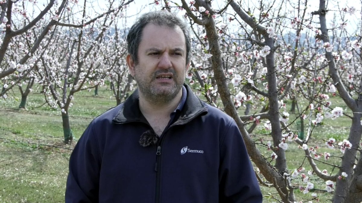 abriendocampos's tweet photo. A las 22h como cada jueves empezamos #AbriendoCampos contando toda la actualidad sobre #agricultura y #ganadería en #CLM Hoy hablamos sobre la #floración del #albaricoque y las #movilizaciones que han tenido lugar  esta semana. Te esperamos! https://t.co/BClfMSPqqi