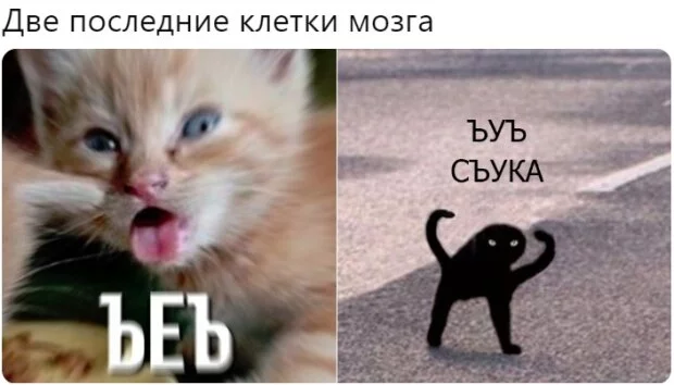 cactus_rus's tweet photo. Ребзи поздравте меня теперь я чмо с ноутом.
Правда теперь еще и с кредитом,но не  будем об этом. https://t.co/bZc2yfZp8j