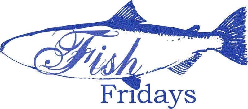 The Queen Inn Dummer tweet media